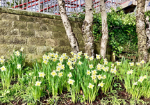 April picture